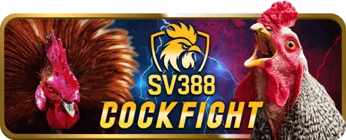 Câu hỏi thường gặp về J88bet Casino